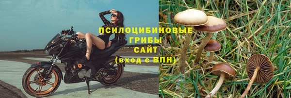 молекула духа Балахна
